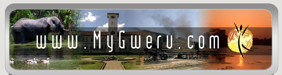 MyGweru Logo
